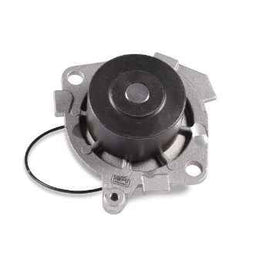 Fiat Stilo 2.4 20V Water Pump for Sale South Africa Water Pumps Echlin