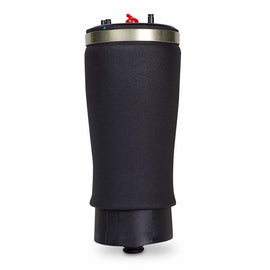 Rear Air Shocks for BMW E53 models (left)