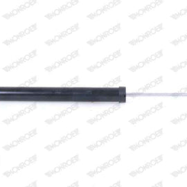 Shock Rear Audi A4 2016-2019 (MONROE)(376248SP) Monroe